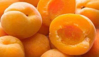 Nutricionista señala 7 propiedades del albaricoque