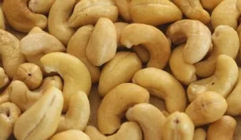 Conoce propiedades saludables merey