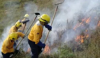 Alertan que la exposición al humo daña al organismo