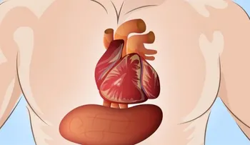 Estudio demuestra la cola light es peor de lo que creíamos: aumenta probabilidad morir por un ataque al corazón
