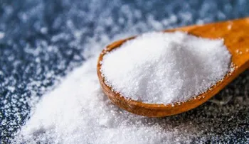 Demasiada sal debilita el sistema inmunitario frente a las bacterias, según estudio
