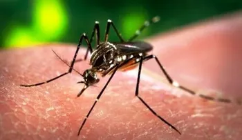 Identificarán focos endémicos del chikungunya y dengue 