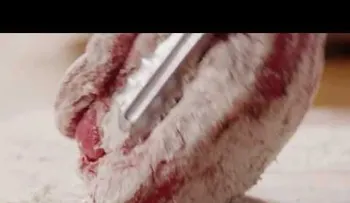 Colocó carne sobre un colchón de cebollasâ?¦ ¡TIENES que ver el resultado! (VIDEO)