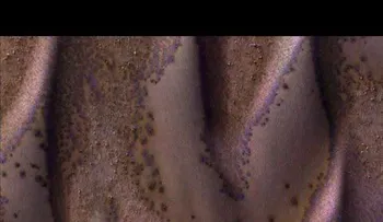 La NASA revela imágenes espectaculares de las dunas de Marte (VIDEO)