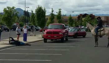 Vaquero se monta en su caballo y laza a presunto ladrón