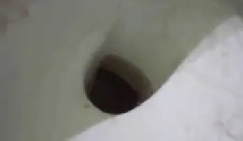 Un truco que dejará tu inodoro nuevo con estos ingredientes (VIDEO)