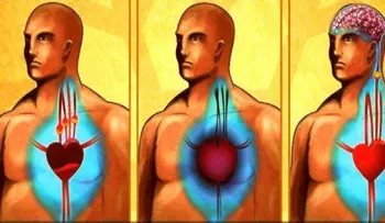 Consejos tradicionales: Cómo limpiar los vasos sanguíneos.