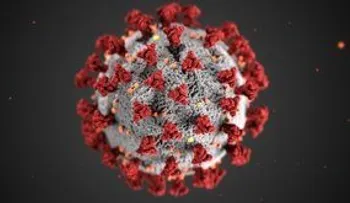 China halla una muestra viva de coronavirus en embalaje de bacalao congelado