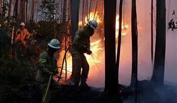 Suman 57 los muertos por fuegos forestales en Portugal; algunos quedaron atrapadas en sus autos