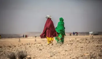 Alertan año que se avecina será "el más caluroso" y "aumentará el compromiso climático"