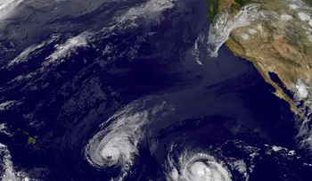 Iselle, primer huracán en golpear Hawái en 22 años 