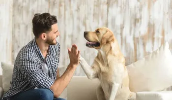 ¿Qué mascota es más beneficiosa para a nuestra salud?