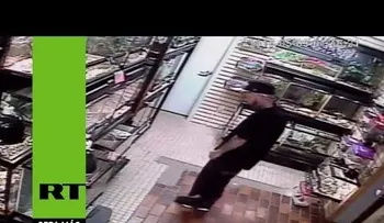 Un ladrón con una extraña afición por las serpientes