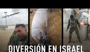 Militares israelíes se divierten en plena masacre de palestinos 
