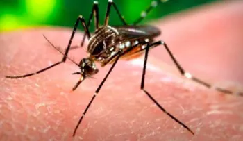El Zika y las malformaciones congénitas