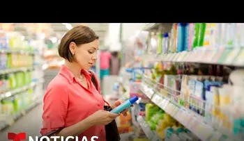 Estos son los ingredientes que debe contener un champú 