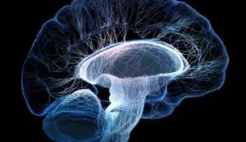 Daño neuronal provoca la disminución del volumen del cerebro