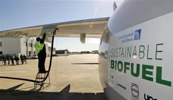 Aerolíneas quieren desarrollar los biocombustibles 