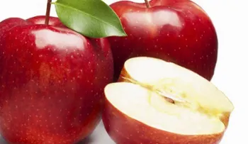 La manzana roja mejora la memoria, reduce el colesterol y combate el estreñimiento 