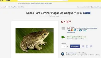 En sitios online venden ranas y sapos como solución para el dengue y el zika