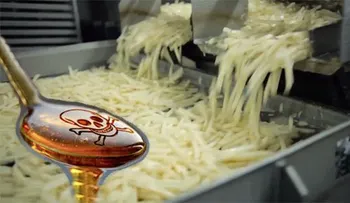 Las Papas Fritas de McDonalds tiene un ingrediente de la Plastilina y Químicos derivados del Petróleo