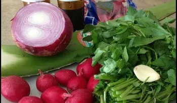 Remedios caseros para limpiar los pulmones