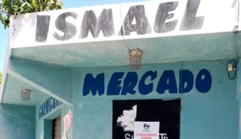SP cierra establecimiento por vender carnes de caballo como de vaca 