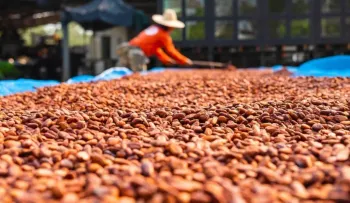 Cacao dominicano impulsa emprendimientos y desarrollo rural