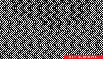 ¡Descubre al animal que se esconde en esta imagen!