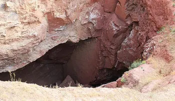 Hallan un animal troglodita de género totalmente desconocido