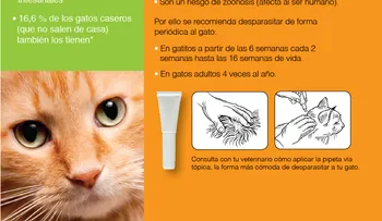 Tratamiento para desparasitar a un gato