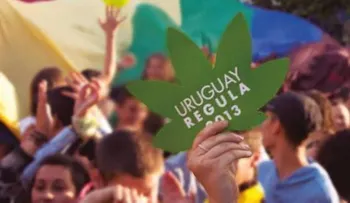 Uruguayos celebran regulación de la marihuana