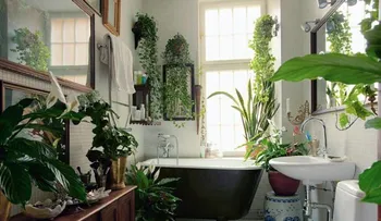 5 mejores plantas para el baño y por qué deberías tenerlas