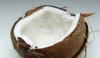 Te sorprenderás cuando descubra lo que hace el aceite de coco, según nuevas investigaciones