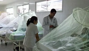 ¿Cómo diferenciar la chikunguña, el zika y el dengue?  