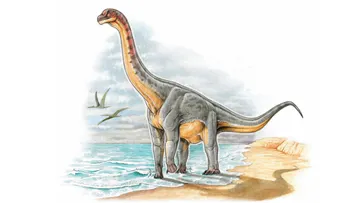 Hallan por primera vez un dinosaurio en suelo colombiano