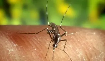 Grecia eleva a 24 las muertes por virus del Nilo Occidental en lo que va de año