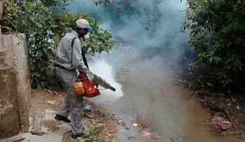 67% casos Chikungunya disminuyen en últimas seis semanas