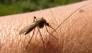 Advierten a entes internacionales sobre crisis de malaria en Venezuela