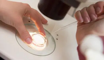  Pareja exige  236 mil dólares en España por perder muestras congeladas de semen 