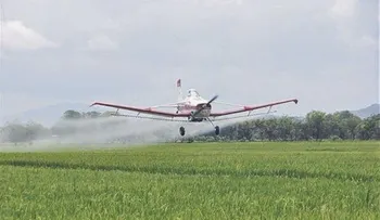 Rescatan cadáver de piloto de aeronave cayó cerca del pico Duarte