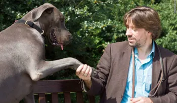 Animales y hombres: ¿iguales?