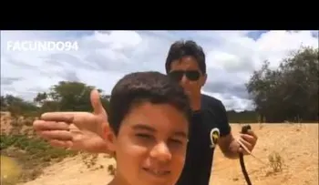 Los mejores videos para Whatsapp (2da parte) 