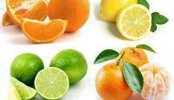 Limones, naranja y mandarina, ricas en vitamina C y antioxidantes