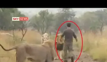 Impactante VIDEO que hizo llorar 