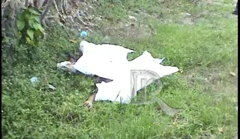 Se llamaba Oscar Castillo, chofer encontrado muerto