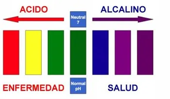 El cáncer es una enfermedad reversible. Lo único que tenemos que hacer es revertir las tres características de la célula cancerosa