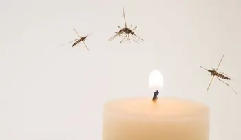 Una vela antimosquitos
