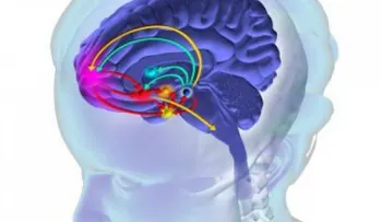 Así destrozan tu cerebro las drogas desde el primer momento
