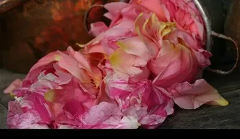  10 usos del agua de rosas para la belleza y la salud 